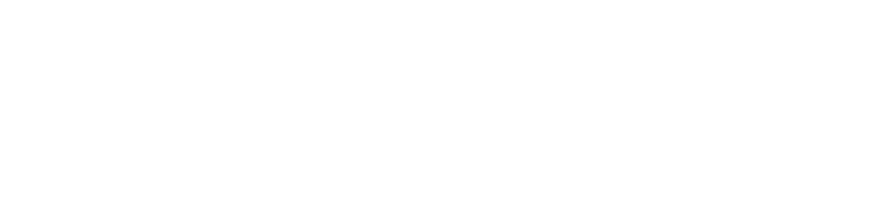 Namor logo